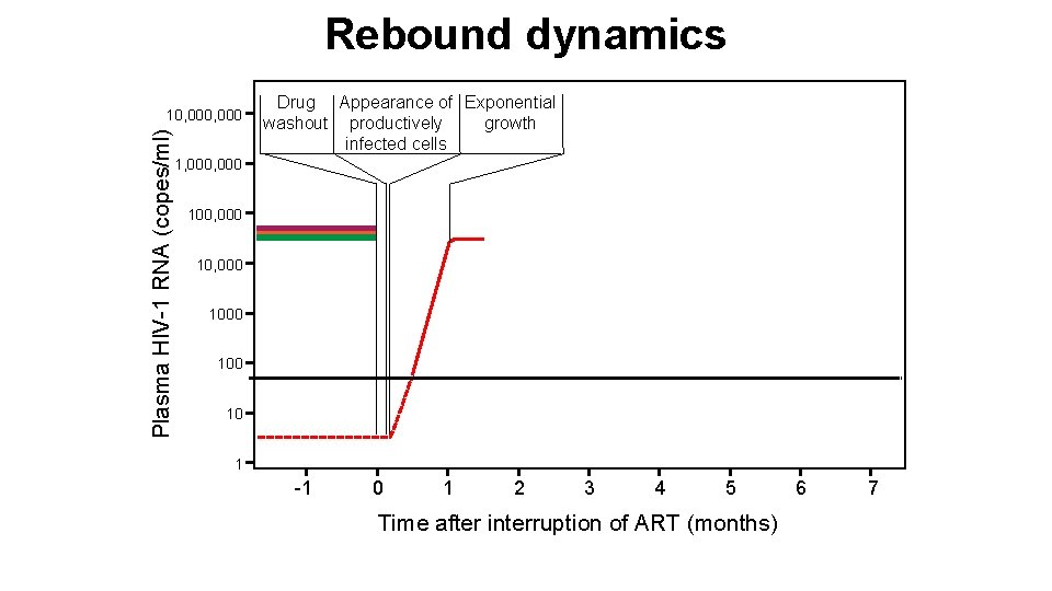 Rebound dynamics Plasma HIV-1 RNA (copes/ml) 10, 000 Drug Appearance of Exponential washout productively
