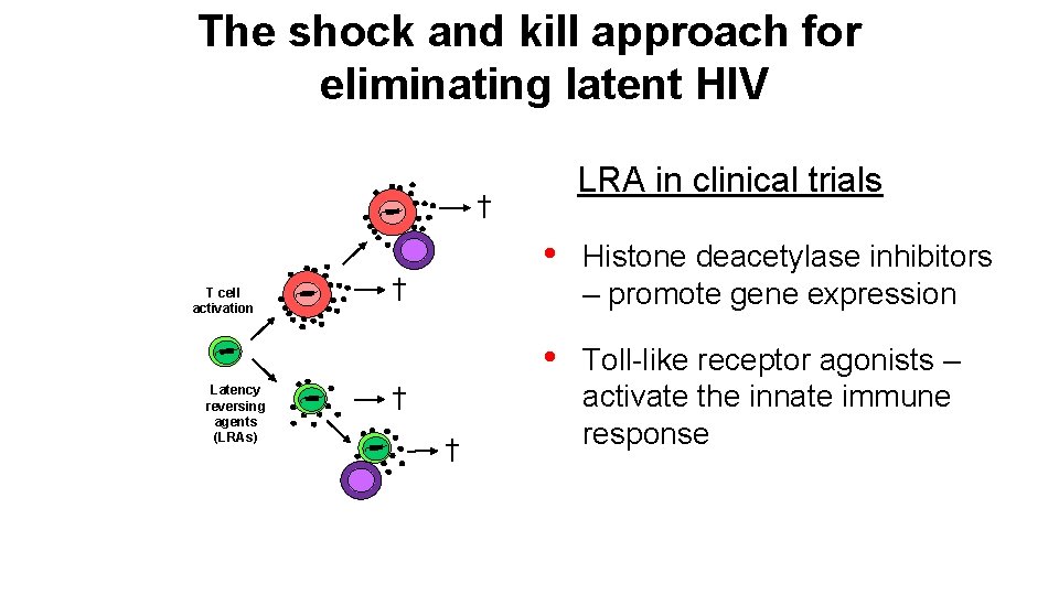 The shock and kill approach for eliminating latent HIV LRA in clinical trials †