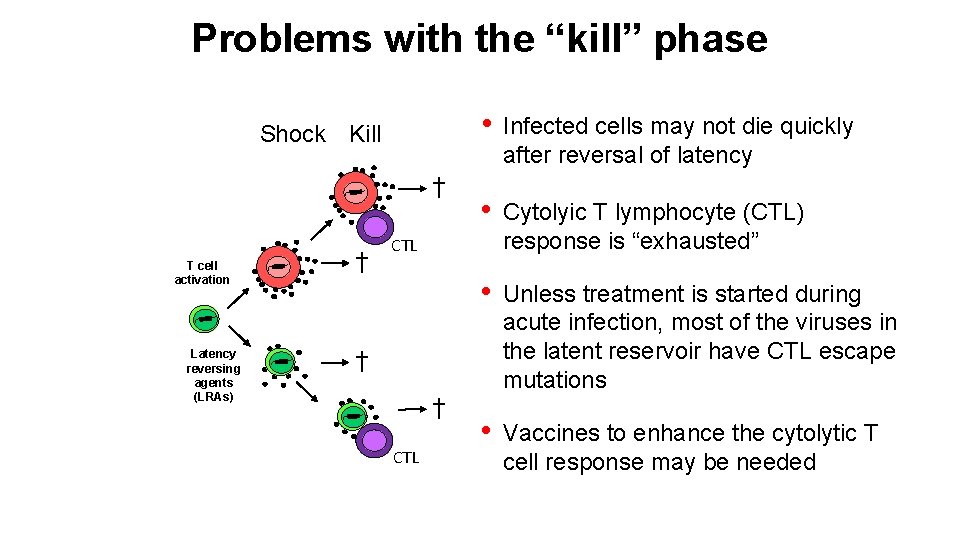 Problems with the “kill” phase Shock Kill † T cell activation Latency reversing agents