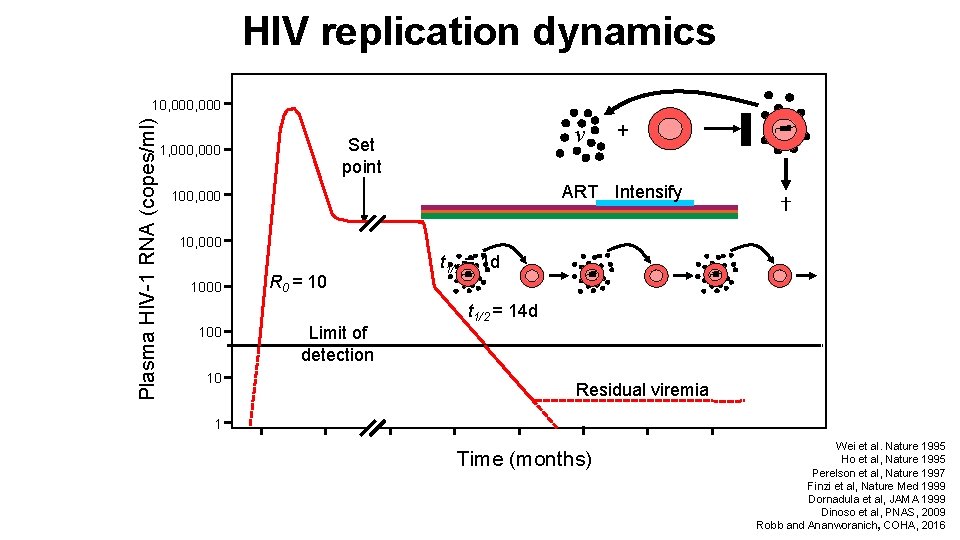 HIV replication dynamics Plasma HIV-1 RNA (copes/ml) 10, 000 v Set point 1, 000