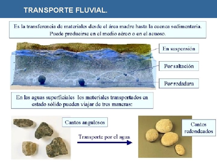 TRANSPORTE FLUVIAL. 