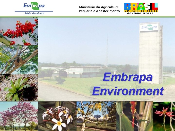 Embrapa Environment 