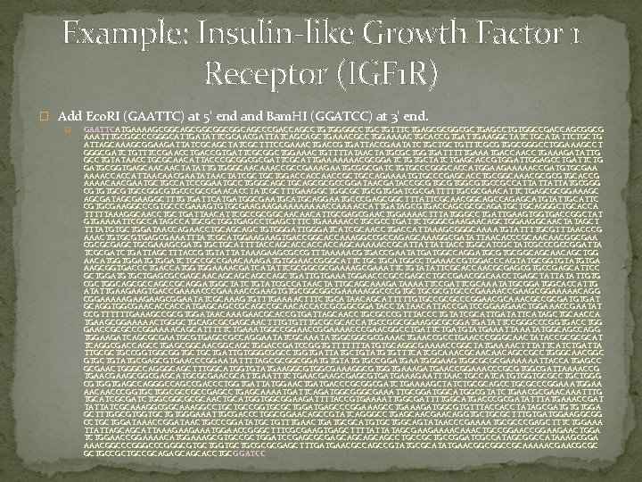Example: Insulin-like Growth Factor 1 Receptor (IGF 1 R) � Add Eco. RI (GAATTC)