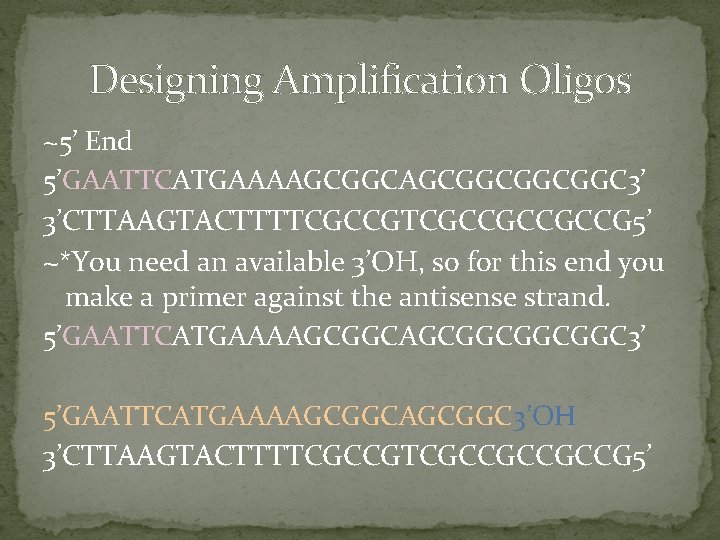 Designing Amplification Oligos ~5’ End 5’GAATTCATGAAAAGCGGCGGCGGC 3’ 3’CTTAAGTACTTTTCGCCGCCGCCG 5’ ~*You need an available 3’OH,