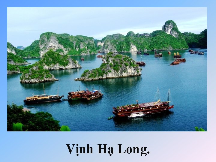 Vịnh Hạ Long. 