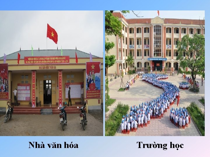 Nhà văn hóa Trường học 