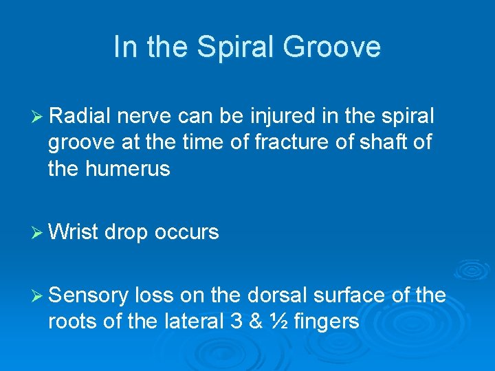 In the Spiral Groove Ø Radial nerve can be injured in the spiral groove