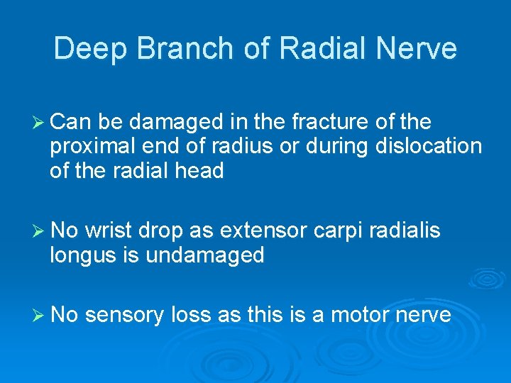 Deep Branch of Radial Nerve Ø Can be damaged in the fracture of the