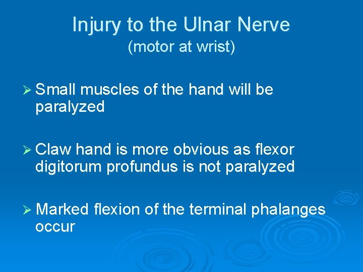 Injury to the Ulnar Nerve (motor at wrist) Ø Small muscles of the hand