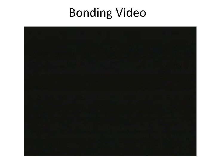 Bonding Video 