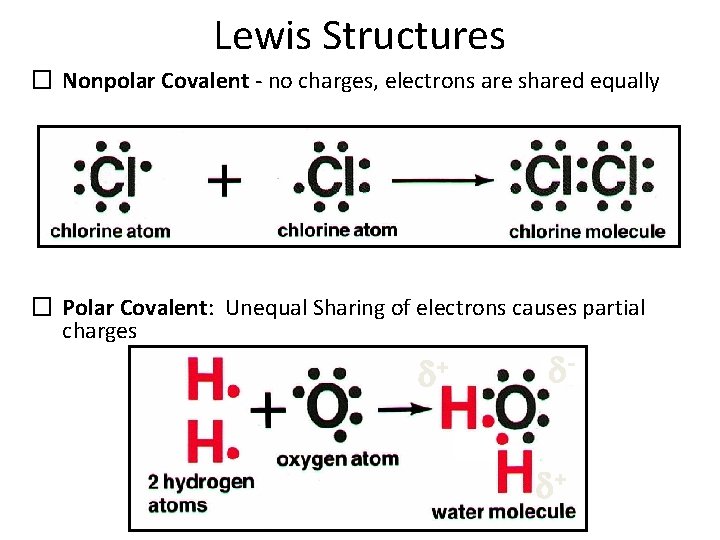 Lewis Structures � Nonpolar Covalent - no charges, electrons are shared equally � Polar