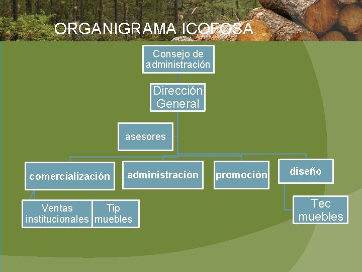 ORGANIGRAMA ICOFOSA Consejo de administración Dirección General asesores comercialización administración Ventas Tip institucionales muebles