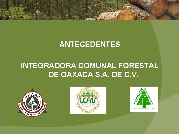 ANTECEDENTES INTEGRADORA COMUNAL FORESTAL DE OAXACA S. A. DE C. V. 