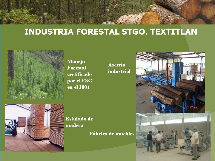 INDUSTRIA FORESTAL STGO. TEXTITLAN Manejo Forestal certificado por el FSC en el 2001 Aserrío