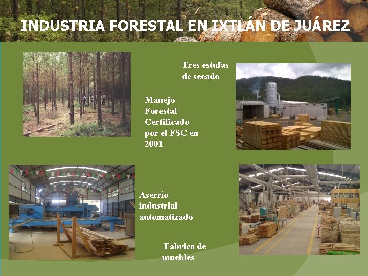 INDUSTRIA FORESTAL EN IXTLÁN DE JUÁREZ Tres estufas de secado Manejo Forestal Certificado por