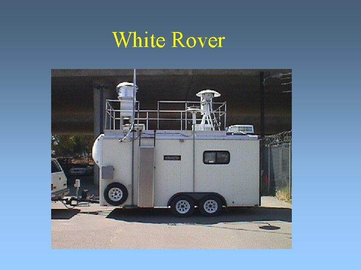 White Rover 