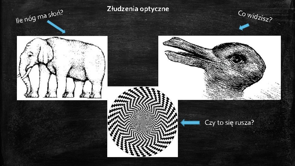 oń? ł s a m Ile nóg Złudzenia optyczne Co wi dzisz? Czy to