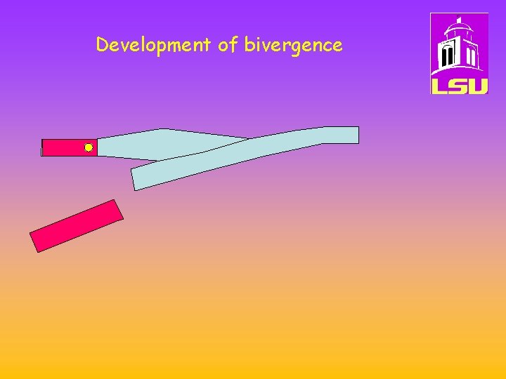 Development of bivergence 