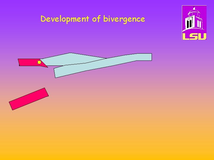 Development of bivergence 