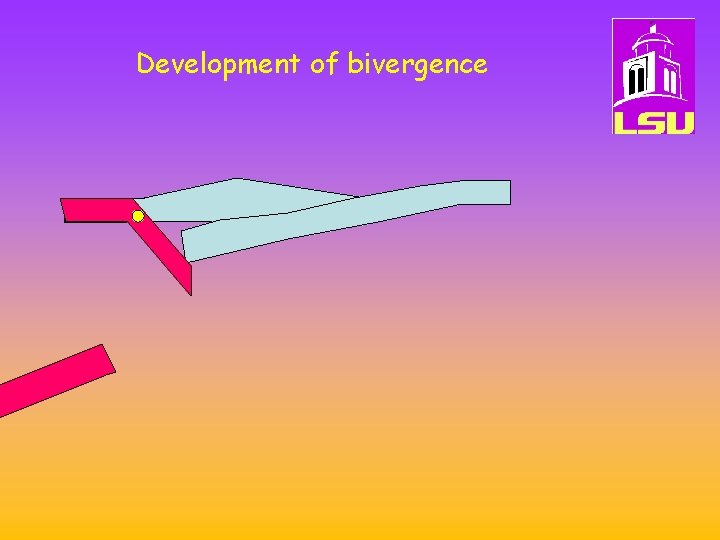 Development of bivergence 