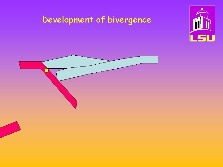 Development of bivergence 