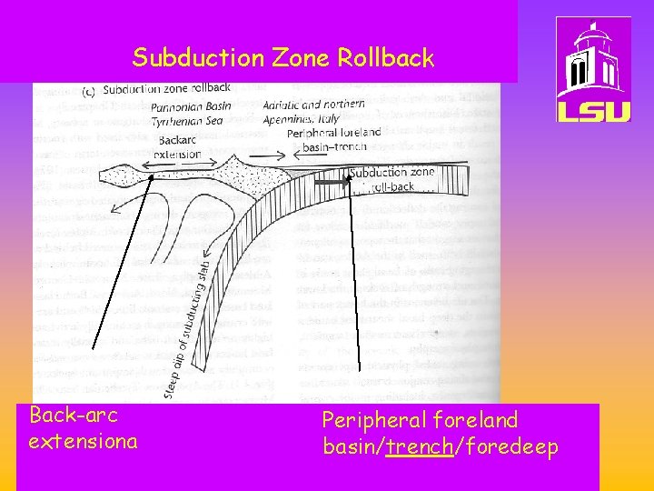 Subduction Zone Rollback Back-arc extensiona Peripheral foreland basin/trench/foredeep 