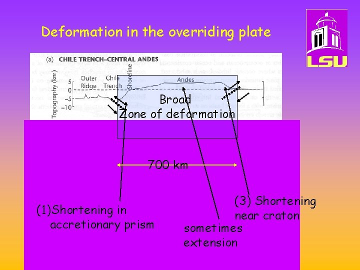 Deformation in the overriding plate Broad Zone of deformation 700 km (1)Shortening in accretionary