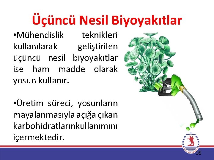 Üçüncü Nesil Biyoyakıtlar • Mühendislik teknikleri kullanılarak geliştirilen üçüncü nesil biyoyakıtlar ise ham madde