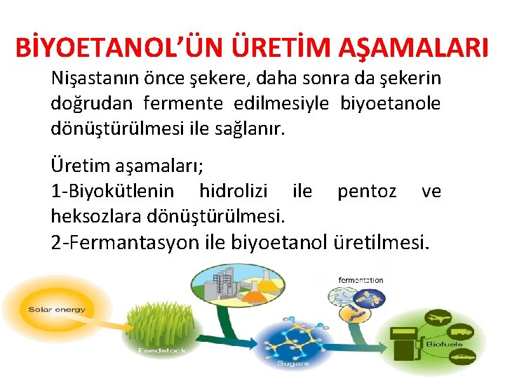 BİYOETANOL’ÜN ÜRETİM AŞAMALARI Nişastanın önce şekere, daha sonra da şekerin doğrudan fermente edilmesiyle biyoetanole