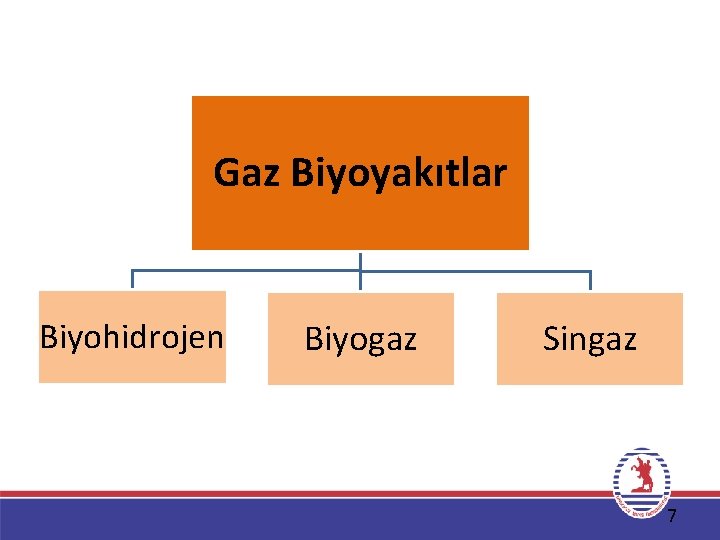 Gaz Biyoyakıtlar Biyohidrojen Biyogaz Singaz 7 