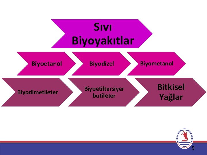 Sıvı Biyoyakıtlar Biyoetanol Biyodimetileter Biyodizel Biyoetiltersiyer butileter Biyometanol Bitkisel Yağlar 9 