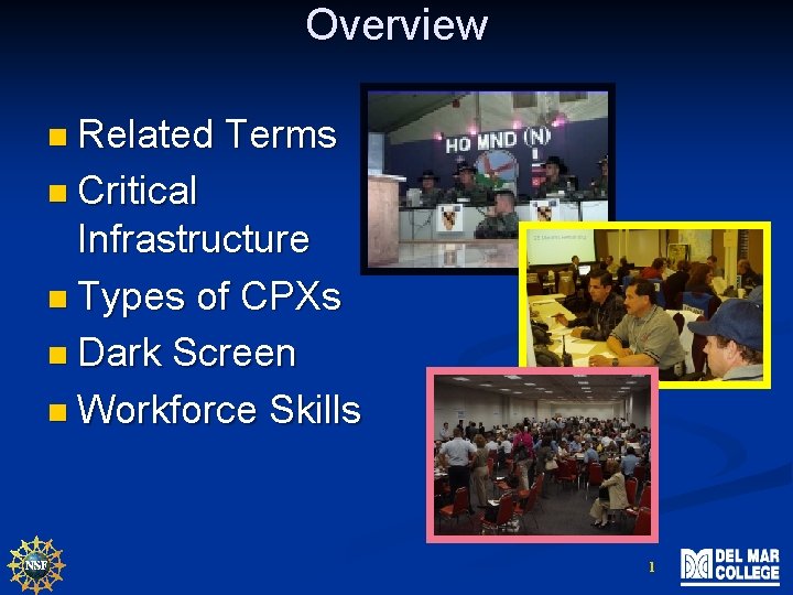 Overview n Related Terms n Critical Infrastructure n Types of CPXs n Dark Screen