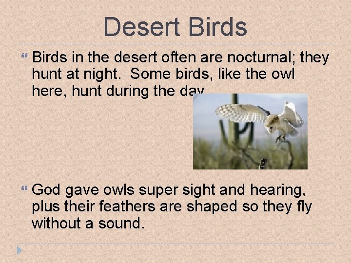 Desert Birds in the desert often are nocturnal; they hunt at night. Some birds,