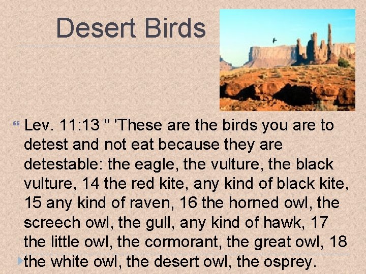 Desert Birds Lev. 11: 13 " 'These are the birds you are to detest