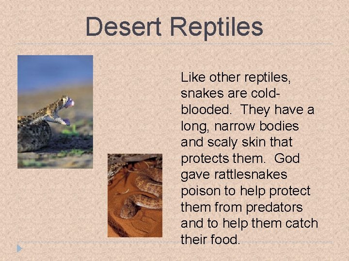 Desert Reptiles Like other reptiles, snakes are coldblooded. They have a long, narrow bodies