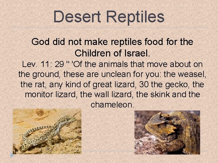Desert Reptiles God did not make reptiles food for the Children of Israel. Lev.