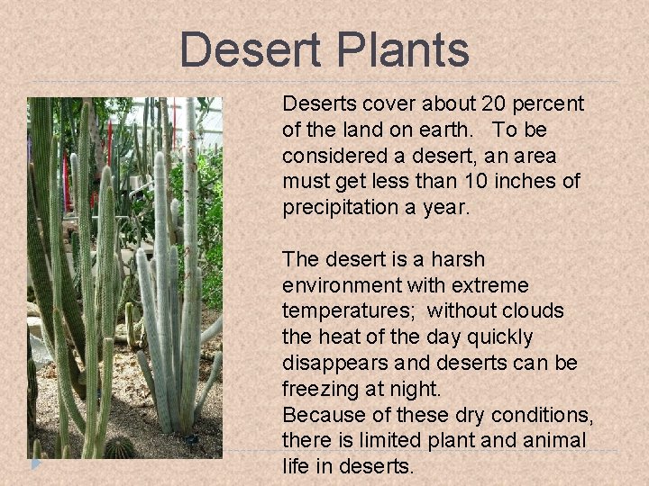 Desert Plants Deserts cover about 20 percent of the land on earth. To be