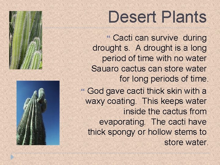 Desert Plants Cacti can survive during drought s. A drought is a long period