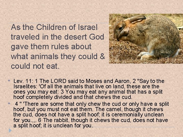 As the Children of Israel traveled in the desert God gave them rules about