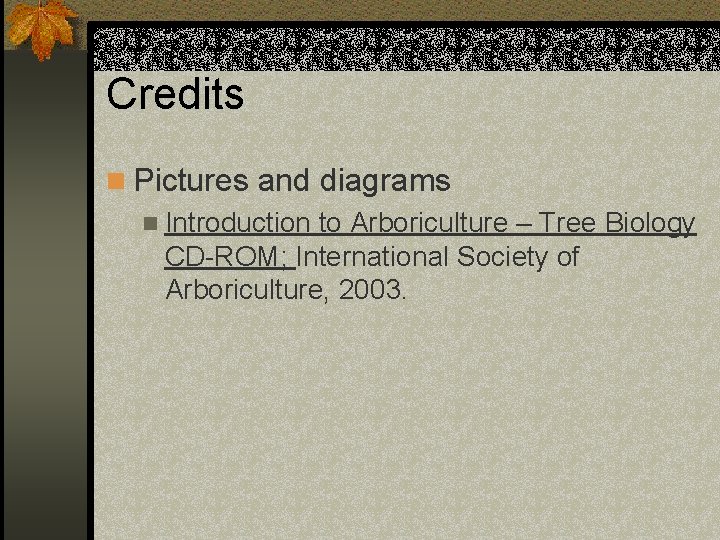 Credits n Pictures and diagrams n Introduction to Arboriculture – Tree Biology CD-ROM; International