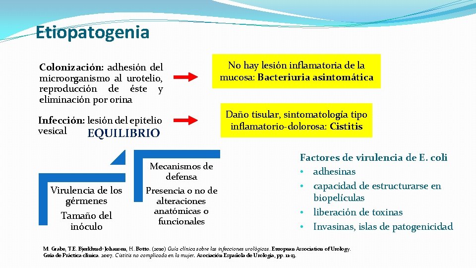 Etiopatogenia Colonización: adhesión del microorganismo al urotelio, reproducción de éste y eliminación por orina