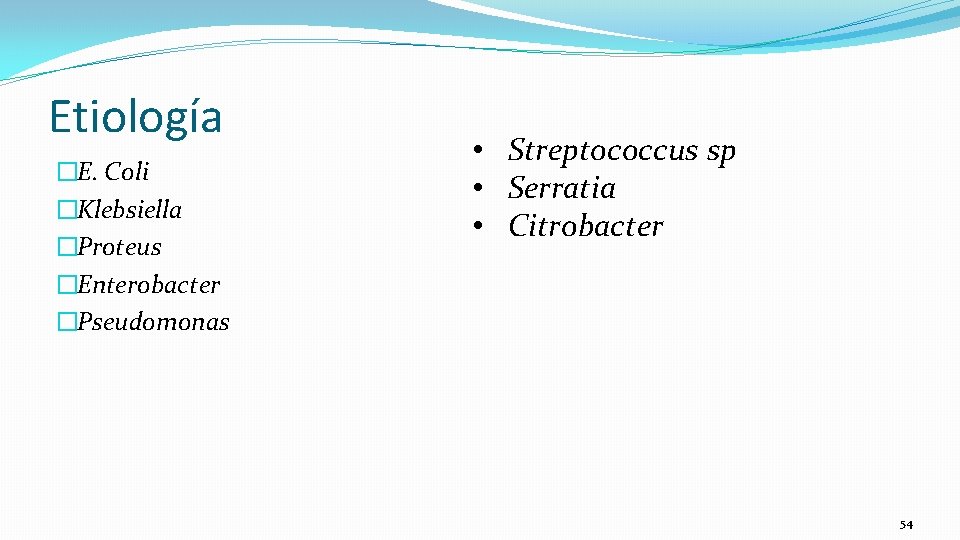 Etiología �E. Coli �Klebsiella �Proteus �Enterobacter �Pseudomonas • Streptococcus sp • Serratia • Citrobacter