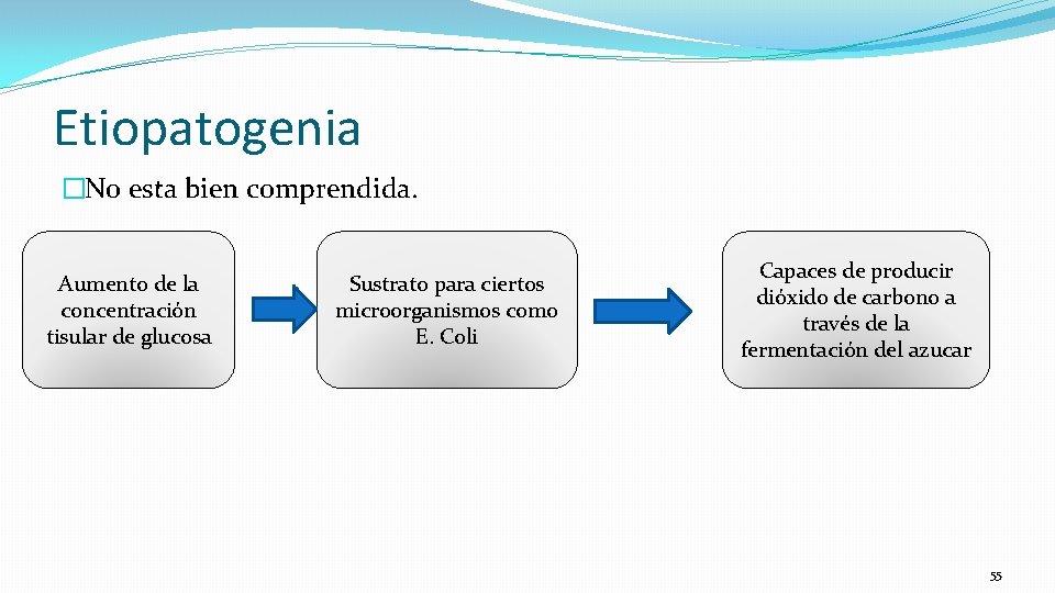 Etiopatogenia �No esta bien comprendida. Aumento de la concentración tisular de glucosa Sustrato para