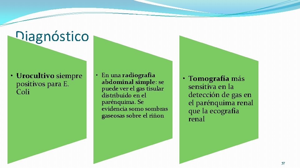 Diagnóstico • Urocultivo siempre positivos para E. Coli • En una radiografía abdominal simple: