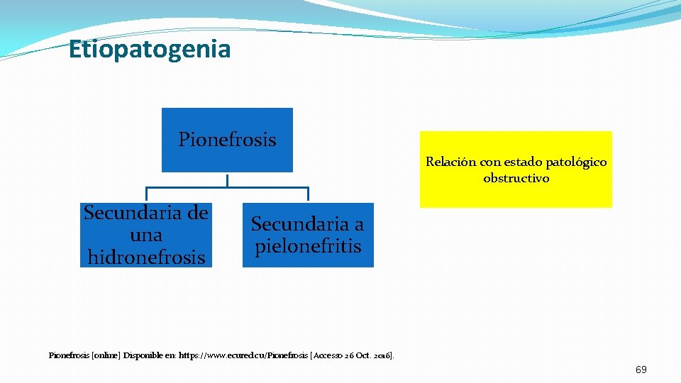 Etiopatogenia Pionefrosis Relación con estado patológico obstructivo Secundaria de una hidronefrosis Secundaria a pielonefritis