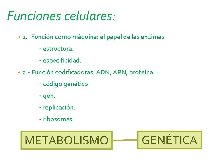 Funciones celulares: • 1. - Función como máquina: el papel de las enzimas -