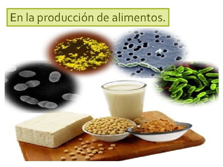 En la producción de alimentos. 