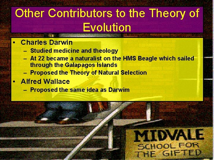 Other Contributors to the Theory of Evolution • Charles Darwin – Studied medicine and