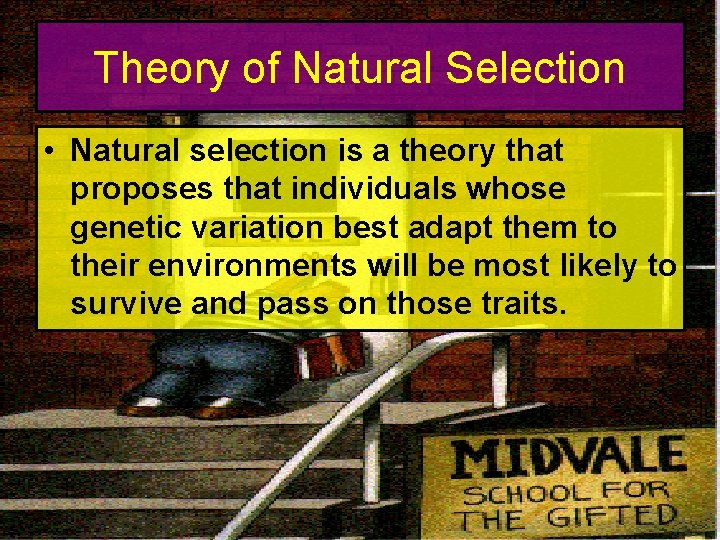 Theory of Natural Selection • Natural selection is a theory that proposes that individuals