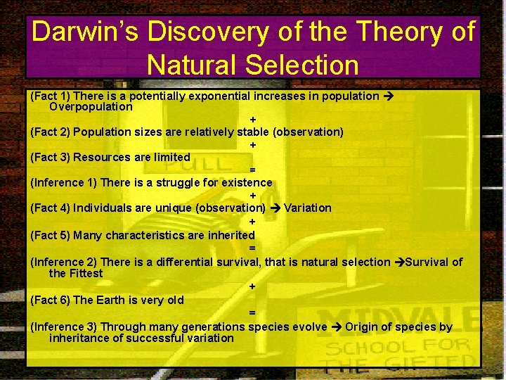 Darwin’s Discovery of the Theory of Natural Selection (Fact 1) There is a potentially